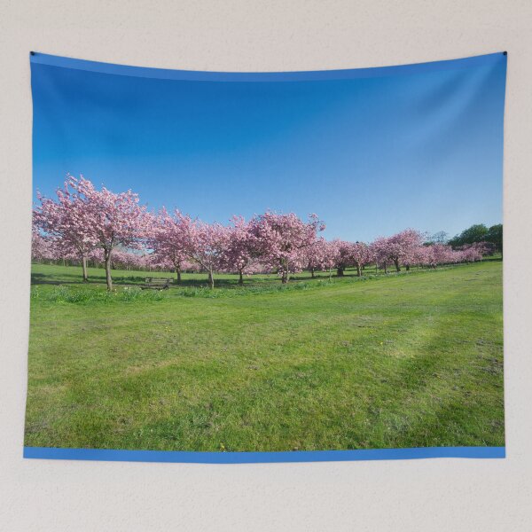 Item preview, The Stray Cherry Blossom Harrogate designed and sold by Alisonchambers2.