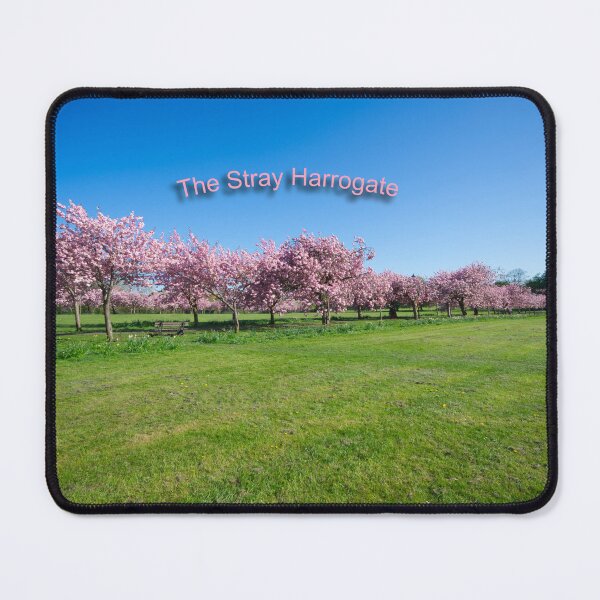 Item preview, The Stray Cherry Blossom Harrogate designed and sold by Alisonchambers2.