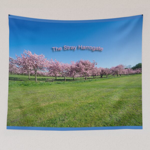 Item preview, The Stray Cherry Blossom Harrogate designed and sold by Alisonchambers2.