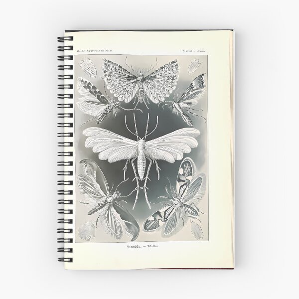 Item preview, Vintage Moth Drawing | Insect Art designed and sold by GammaRay.