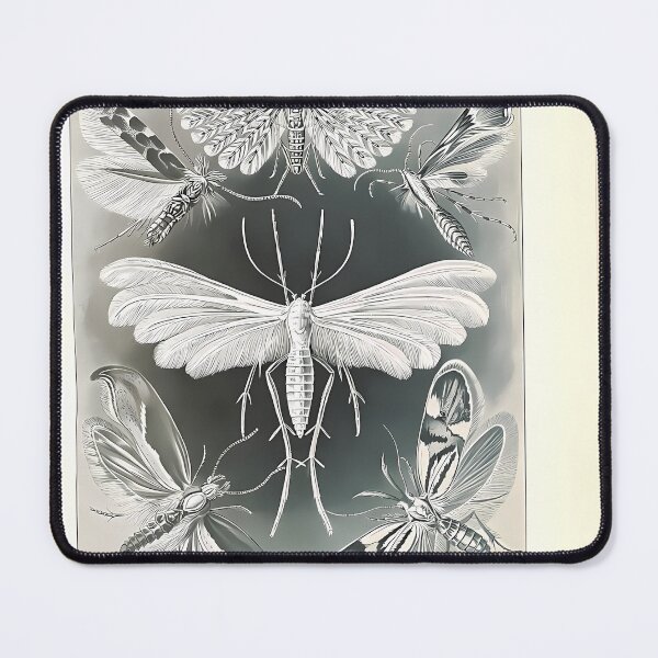Item preview, Vintage Moth Drawing | Insect Art designed and sold by GammaRay.