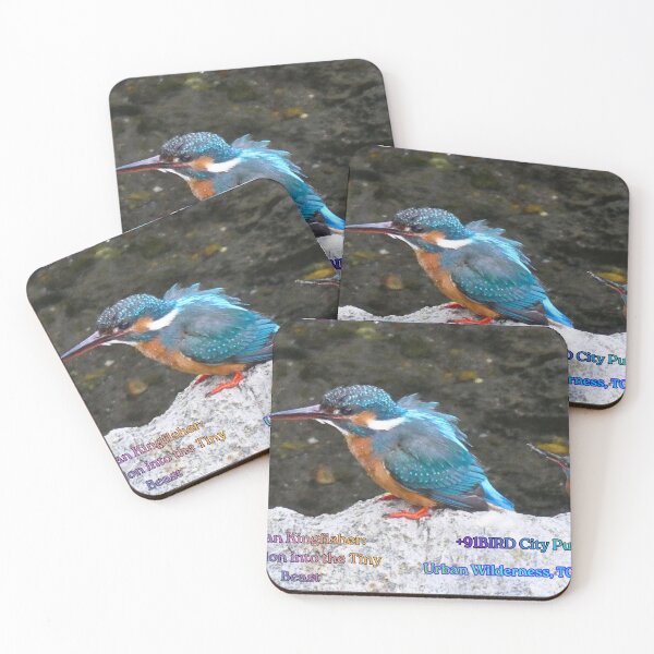 Item preview, Urban Transformation: Evolution into the Tiny Beast designed and sold by Plus91BIRD.