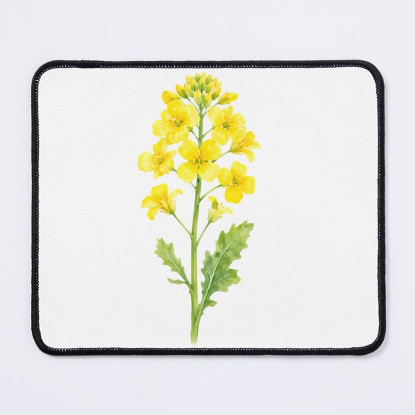 Item preview, Canola Flower designed and sold by HOMETOWN86.