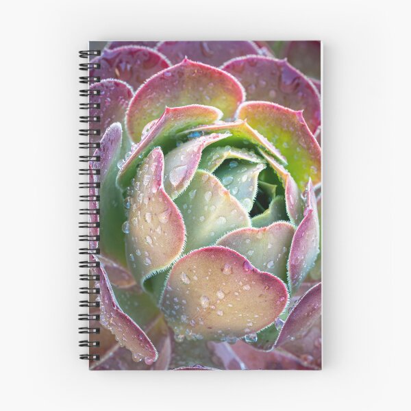 Item preview, Succulent with rain drops designed and sold by stephendean.