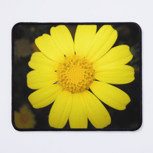 Item preview, Bright Daisy designed and sold by OfPaperAndScissors.