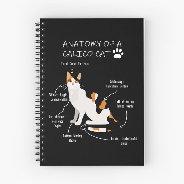 Artikelvorschau, Anatomie der Schildpattkatze – Lustiges Geschenk für Schildpattkatzen-Mamas entworfen und verkauft von Petensity.
