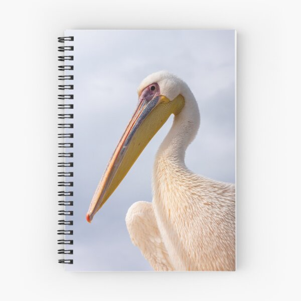 Item preview, Pelican. designed and sold by Anne Scantlebury.