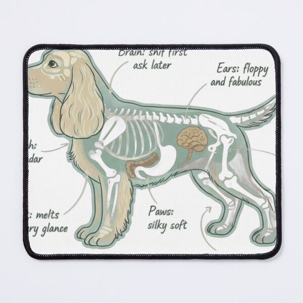 Item preview, Cocker Spaniel Anatomy - Funny Cocker Spaniel Mom Gift designed and sold by Petensity.