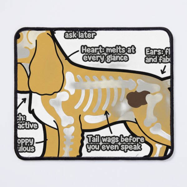 Item preview, Cocker Spaniel Anatomy - Funny Cocker Spaniel Mom Gift designed and sold by Petensity.