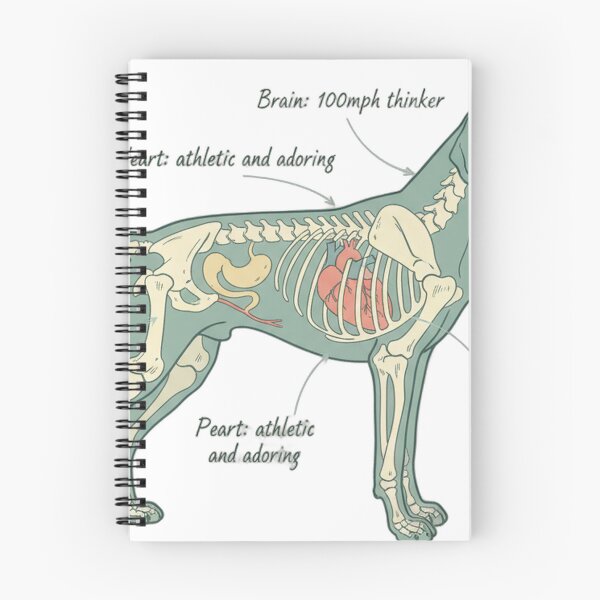 Item preview, German Shorthaired Pointer Anatomy - Funny GSP Gift designed and sold by Petensity.