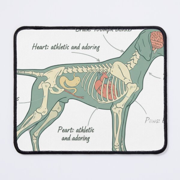 Item preview, German Shorthaired Pointer Anatomy - Funny GSP Gift designed and sold by Petensity.