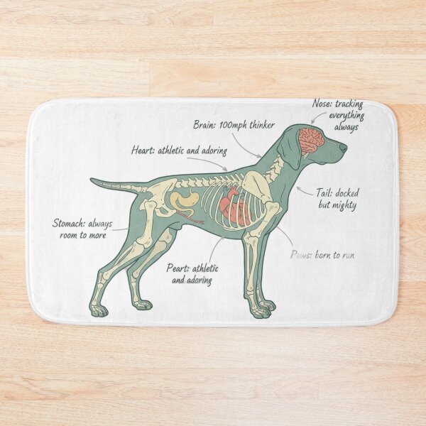 Item preview, German Shorthaired Pointer Anatomy - Funny GSP Gift designed and sold by Petensity.