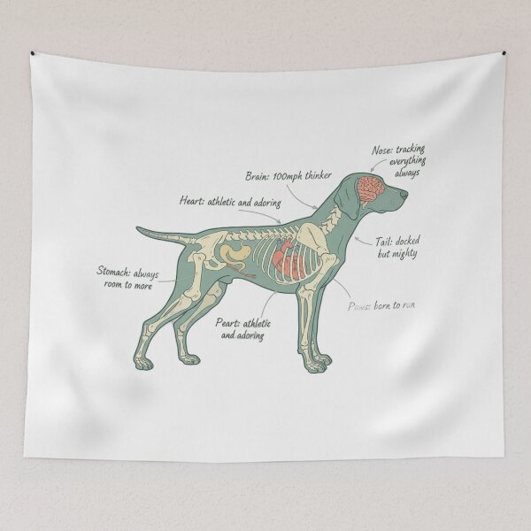 Item preview, German Shorthaired Pointer Anatomy - Funny GSP Gift designed and sold by Petensity.