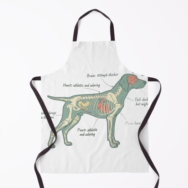 Item preview, German Shorthaired Pointer Anatomy - Funny GSP Gift designed and sold by Petensity.