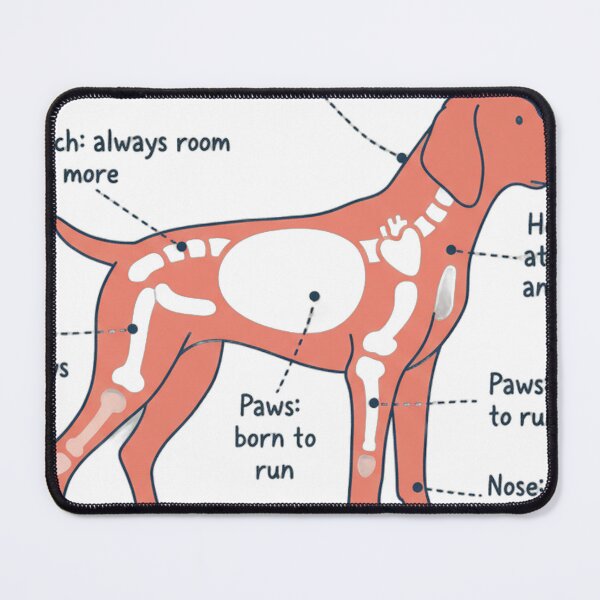 Item preview, German Shorthaired Pointer Anatomy - Funny GSP Gift designed and sold by Petensity.