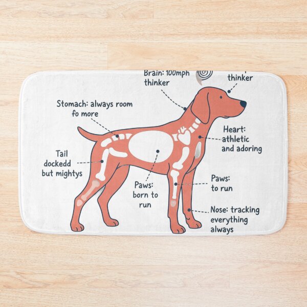 Item preview, German Shorthaired Pointer Anatomy - Funny GSP Gift designed and sold by Petensity.