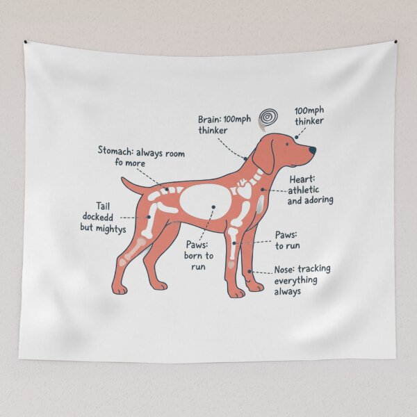 Item preview, German Shorthaired Pointer Anatomy - Funny GSP Gift designed and sold by Petensity.
