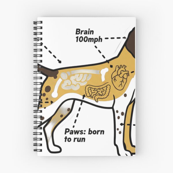 Item preview, German Shorthaired Pointer Anatomy - Funny GSP Gift designed and sold by Petensity.