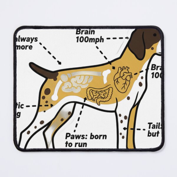 Item preview, German Shorthaired Pointer Anatomy - Funny GSP Gift designed and sold by Petensity.