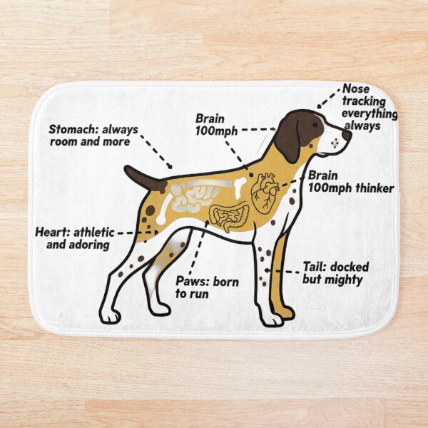 Item preview, German Shorthaired Pointer Anatomy - Funny GSP Gift designed and sold by Petensity.
