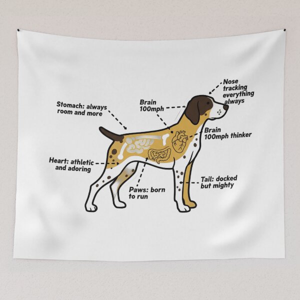 Item preview, German Shorthaired Pointer Anatomy - Funny GSP Gift designed and sold by Petensity.