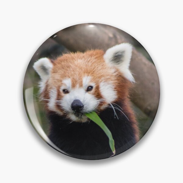 Item preview, Cute! designed and sold by Sooty's Cosy Corner.