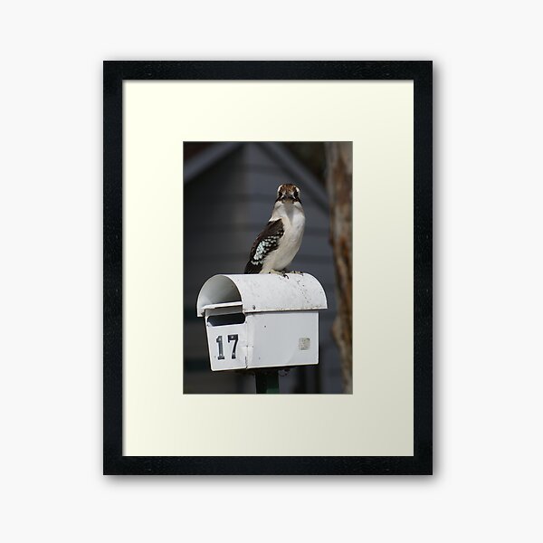 Item preview, Patient Kookaburra designed and sold by Rochelle Buckley.