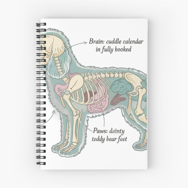Item preview, Cavapoo Anatomy - Funny Cavapoo Mom Dad Owner Gift designed and sold by Petensity.
