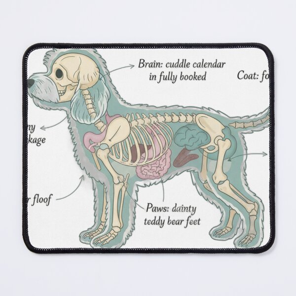 Item preview, Cavapoo Anatomy - Funny Cavapoo Mom Dad Owner Gift designed and sold by Petensity.