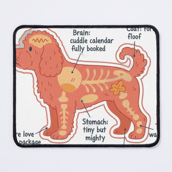 Item preview, Cavapoo Anatomy - Funny Cavapoo Mom Dad Owner Gift designed and sold by Petensity.