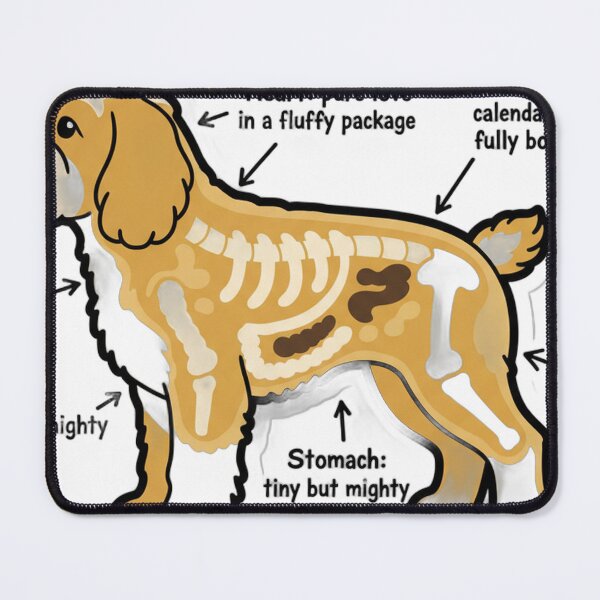 Item preview, Cavapoo Anatomy - Funny Cavapoo Mom Dad Owner Gift designed and sold by Petensity.