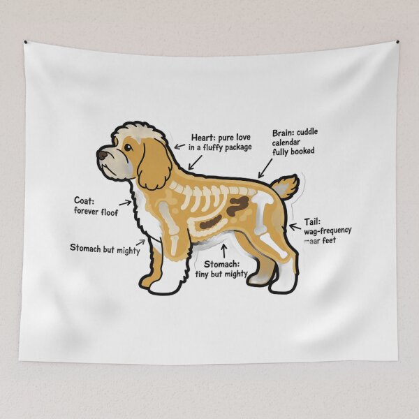 Item preview, Cavapoo Anatomy - Funny Cavapoo Mom Dad Owner Gift designed and sold by Petensity.