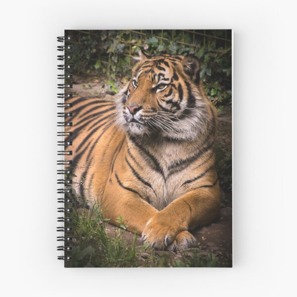 Item preview, Chilling Tiger designed and sold by Sooty's Cosy Corner.