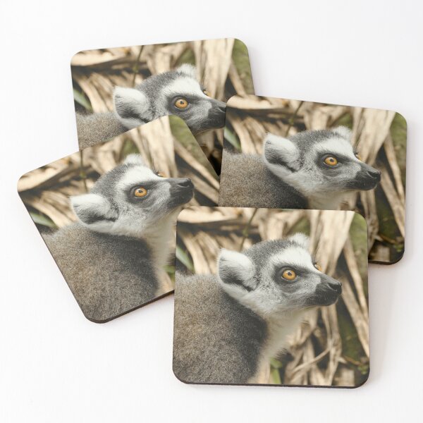 Item preview, Ring Tailed Lemur Madagascar Wildlife Animal Lovers designed and sold by JunoLoyder84.