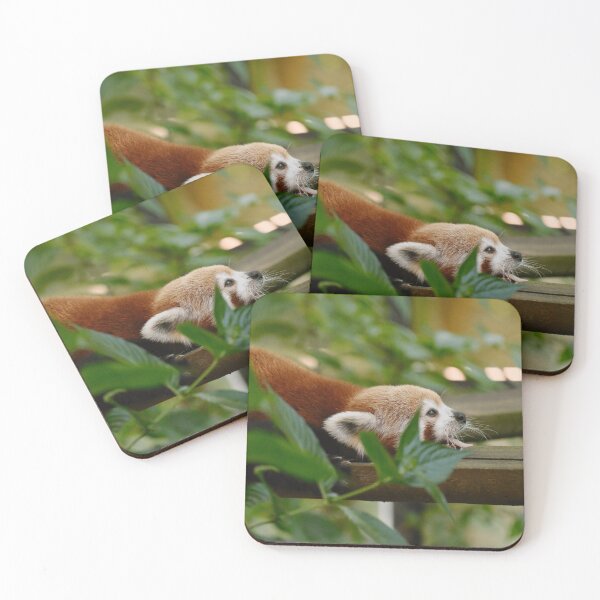 Item preview, Red Panda Animal Lover Wildlife Mammal designed and sold by JunoLoyder84.