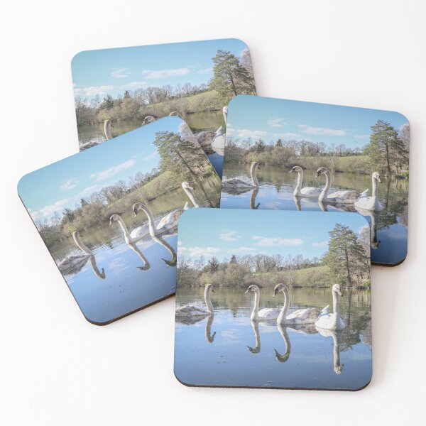 Item preview, A gathering of swans designed and sold by Martin Fenton.