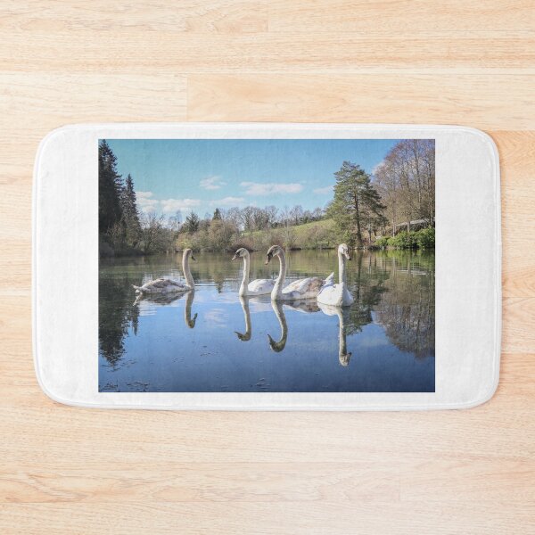 Item preview, A gathering of swans designed and sold by Martin Fenton.