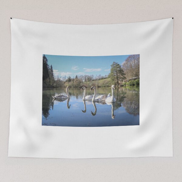Item preview, A gathering of swans designed and sold by Martin Fenton.