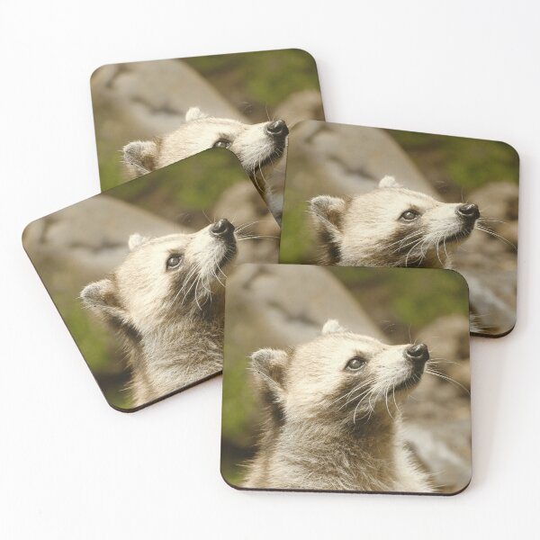 Item preview, Coati Coatimundi Wildlife Animal Nature Lover designed and sold by JunoLoyder84.
