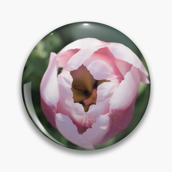 Item preview, Pink Dewdrops - Delicate Tulip Bloom Opening Among Green Foliage designed and sold by Georgia Mizuleva.