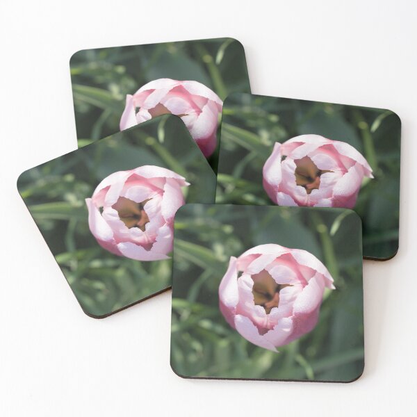 Item preview, Pink Dewdrops - Delicate Tulip Bloom Opening Among Green Foliage designed and sold by Georgia Mizuleva.