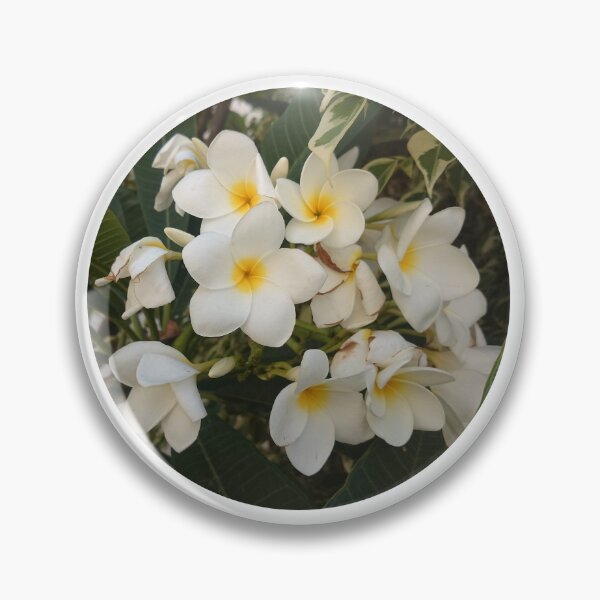 Item preview, Plumeria Frangipani designed and sold by OfPaperAndScissors.