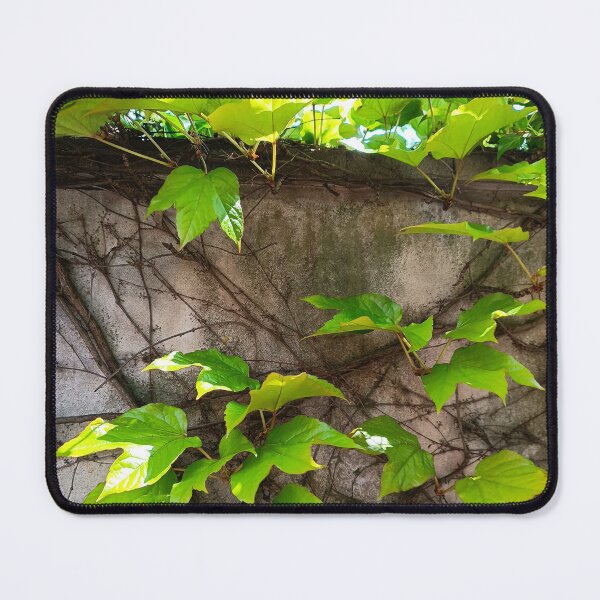 Item preview, ivy designed and sold by colorgallery11.