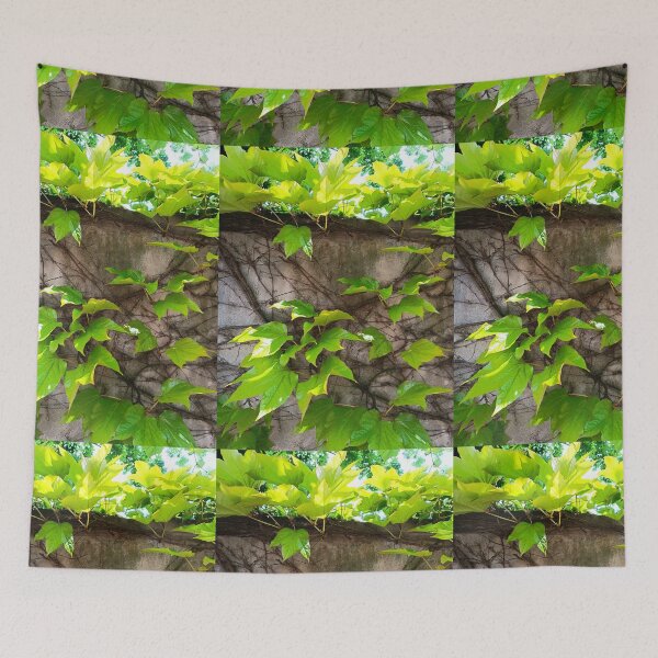 Item preview, ivy designed and sold by colorgallery11.