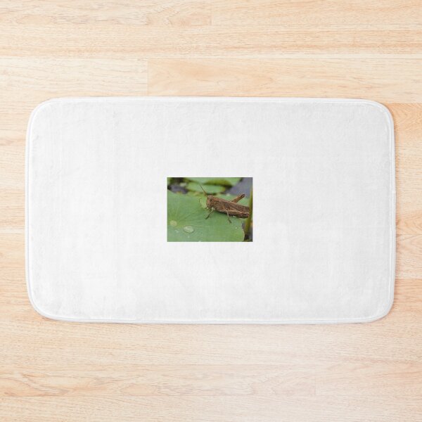 Item preview, Grasshopper eating leave designed and sold by DSP colletion.