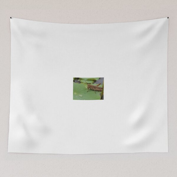 Item preview, Grasshopper eating leave designed and sold by DSP colletion.