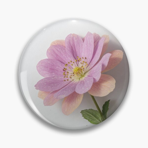 Aperçu de l'œuvre fleur94 créée et vendue par RAY0T.