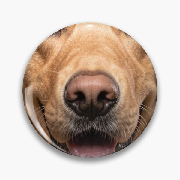 Artikelvorschau, Golden Retriever entworfen und verkauft von Kirrindy Designs.