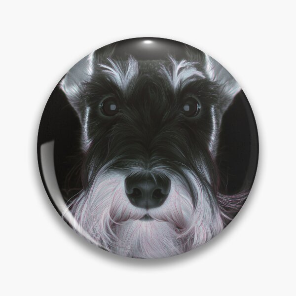 Artikelvorschau, Röntgenporträt eines Schnauzers entworfen und verkauft von lautir.
