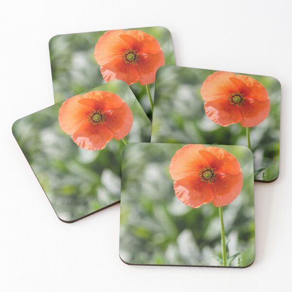 Item preview, Orange Poppy Flower Blooming on Tall Stem Against Soft Green Bokeh Background designed and sold by Nmallia.